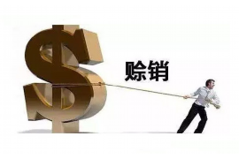 冠县企业清欠服务